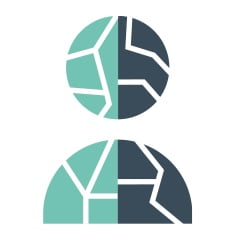 Icône de peau craquelée